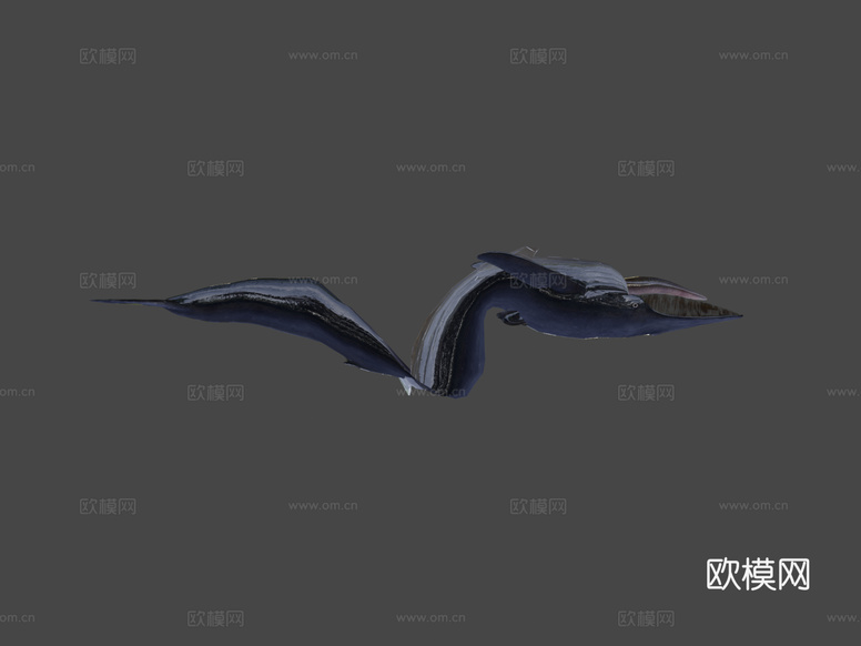 蓝鲸3d模型下载(渲染图5)