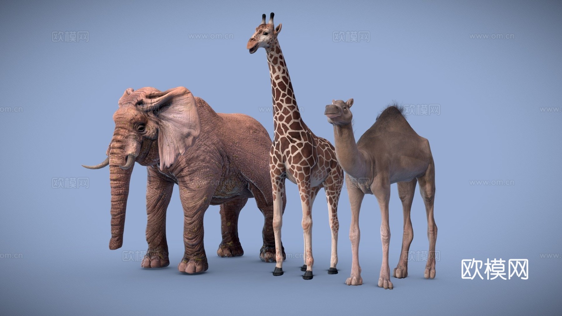 动物包13d模型