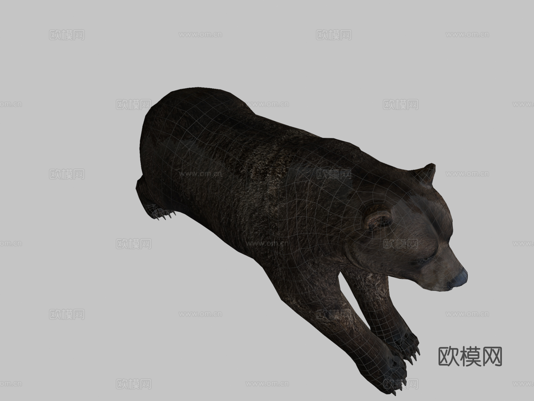 棕熊3d模型