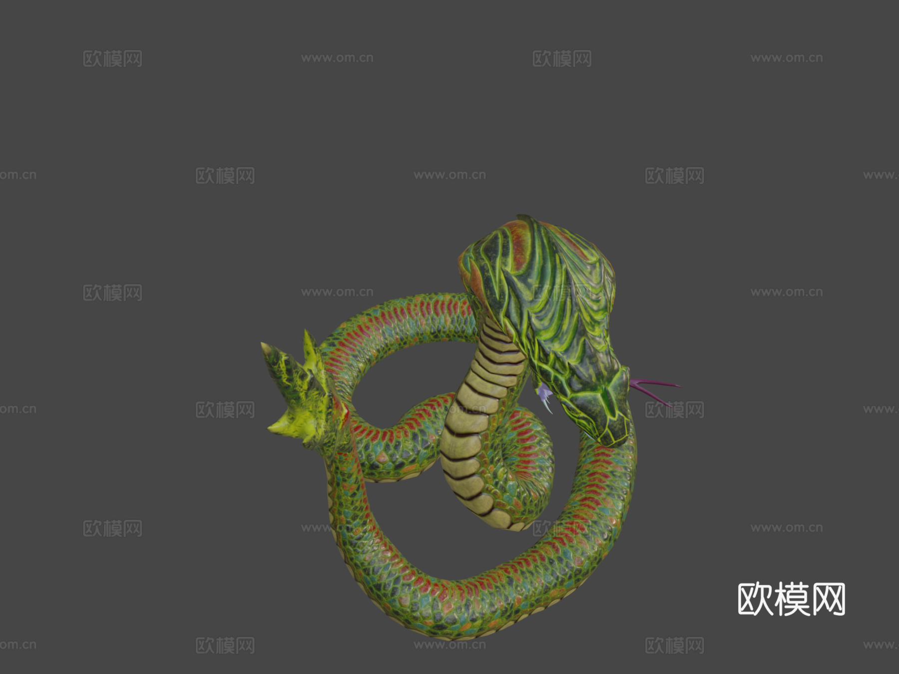 龙首眼镜蛇3d模型