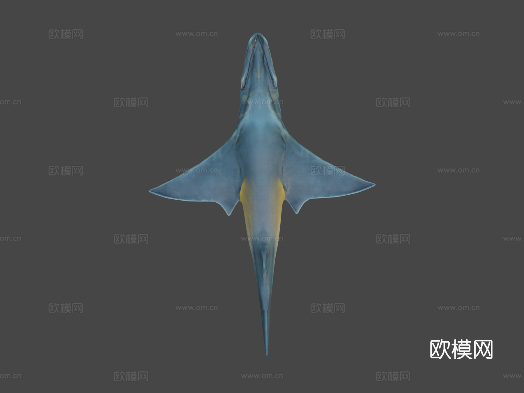 最终野蛮鲨3d模型