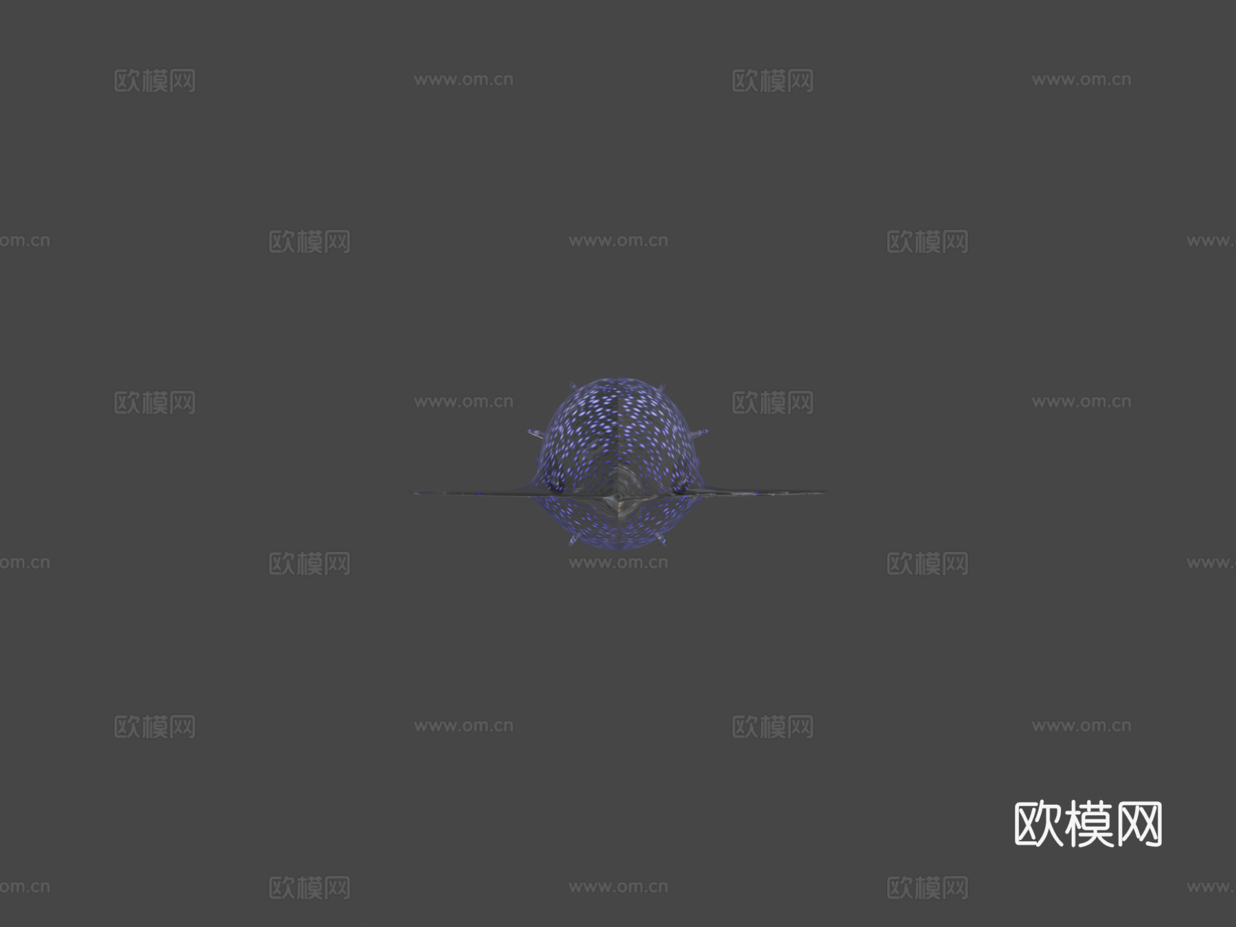 萤火鱿鱼3d模型