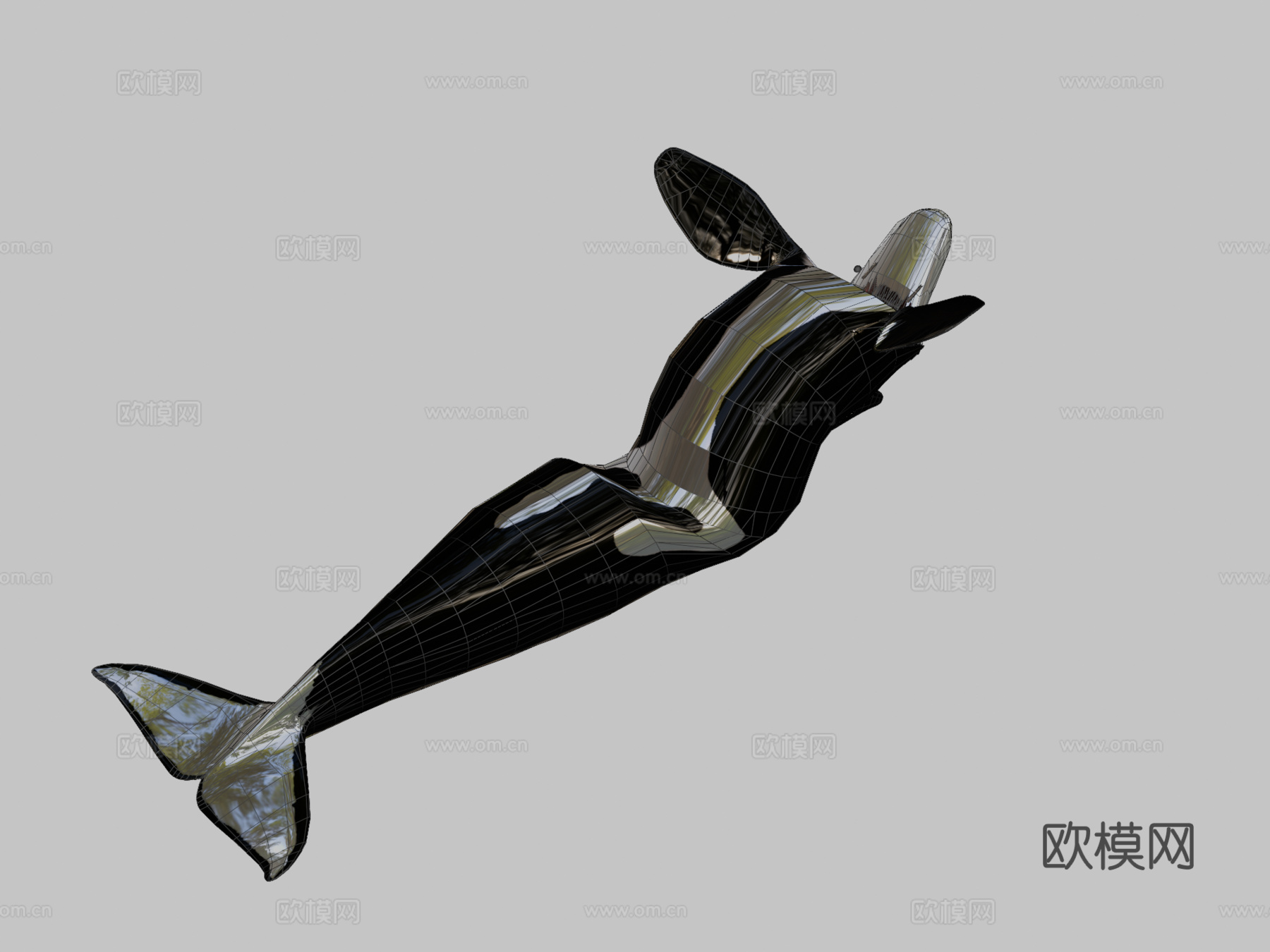 虎鲸3d模型
