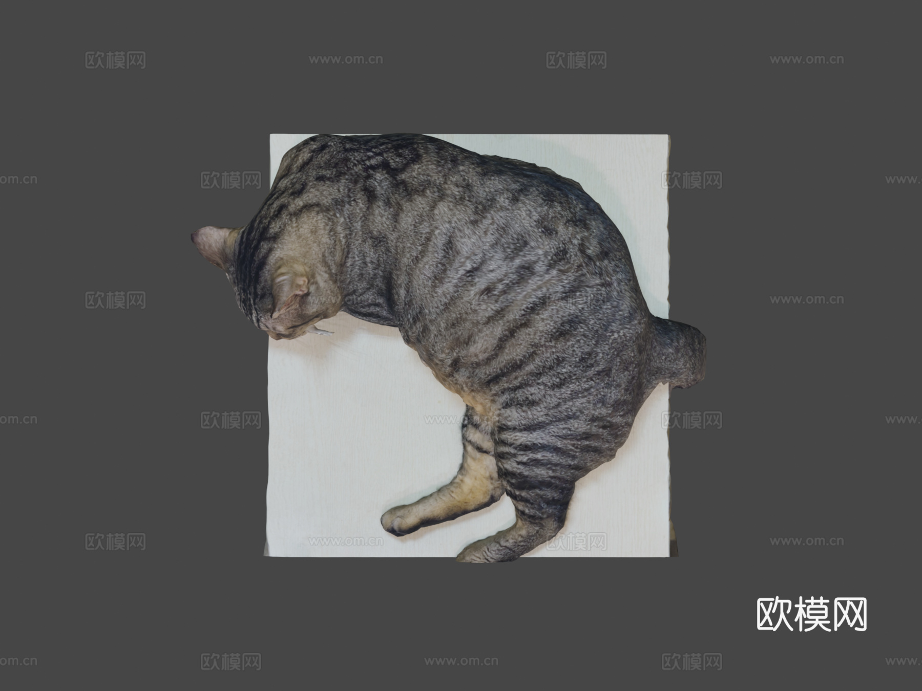 桌上睡猫-3D扫描3d模型