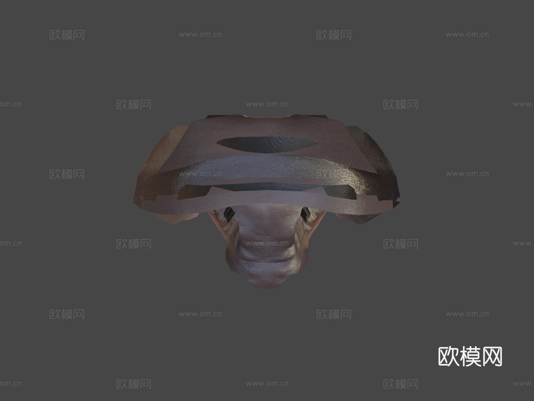 侏儒河马宝宝3d模型