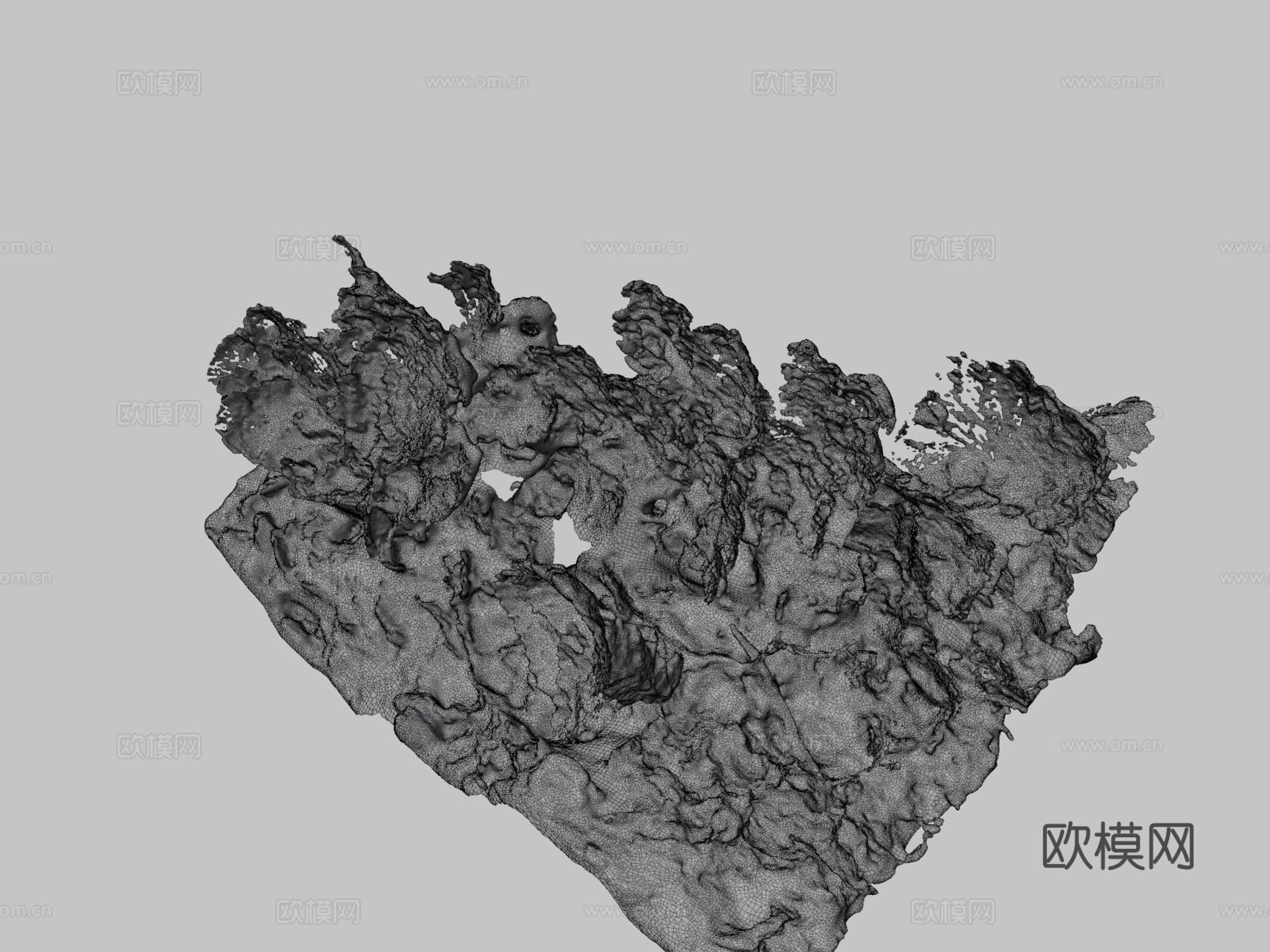 深海珊瑚3d模型