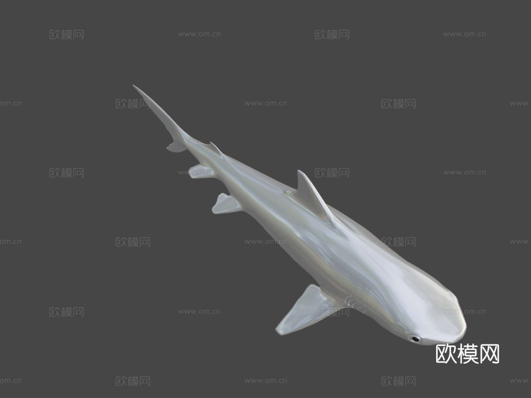 虎鲨3d模型