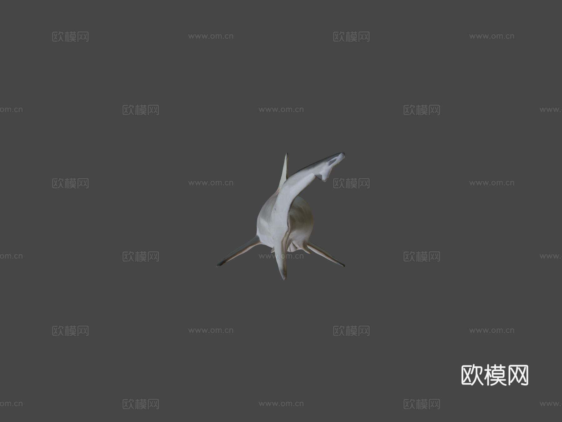 鲨鱼3d模型