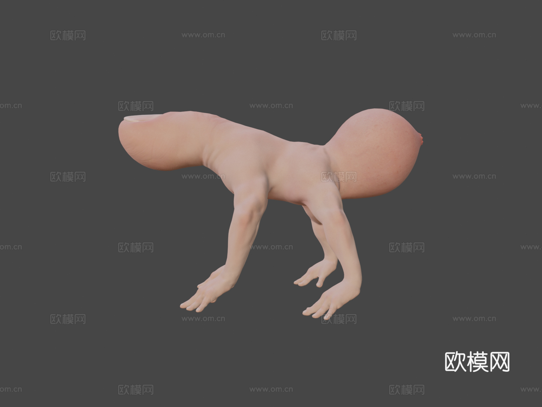 手指蜘蛛[仅模型]3d模型
