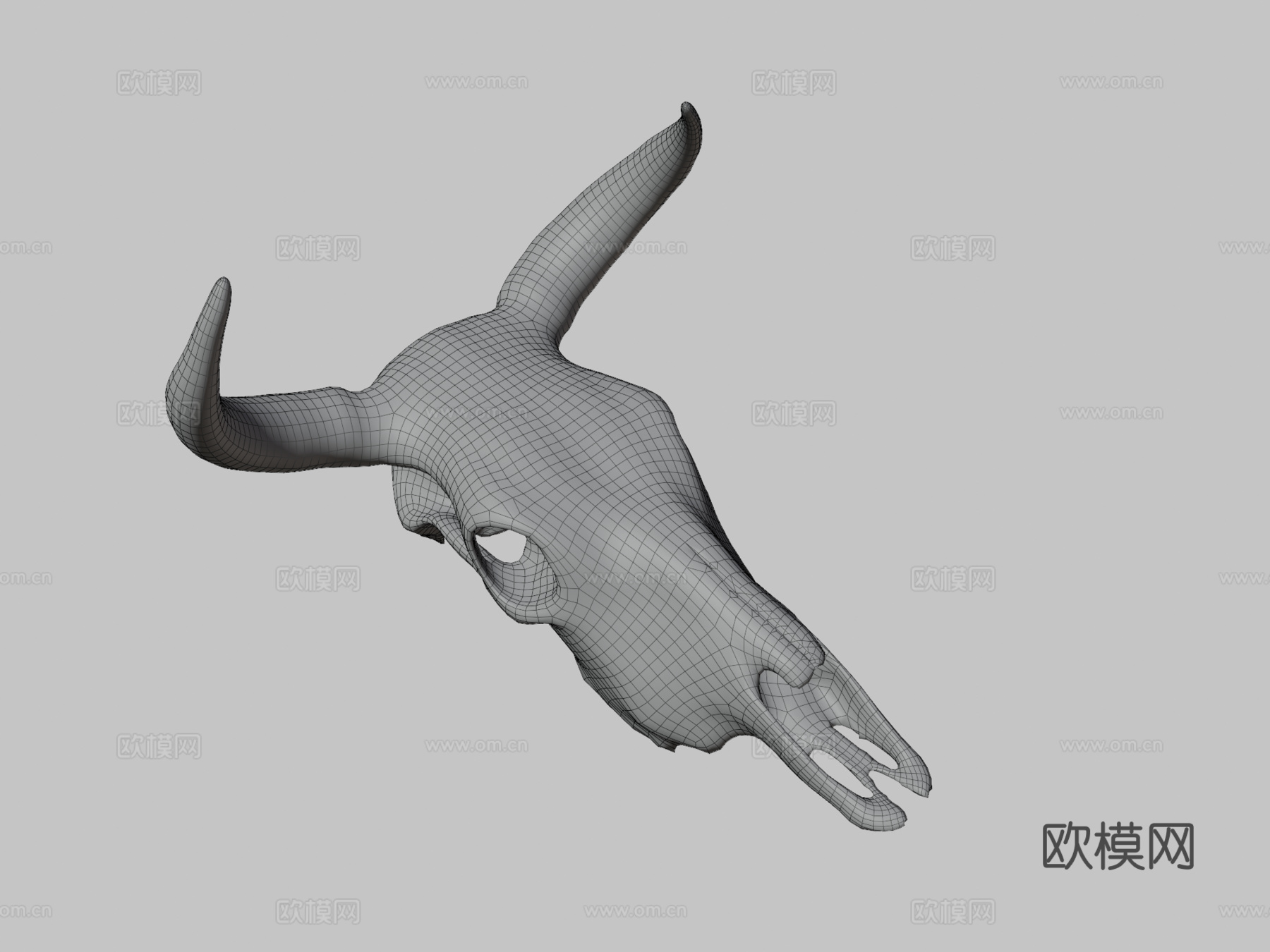 肮脏牛头骨3d模型