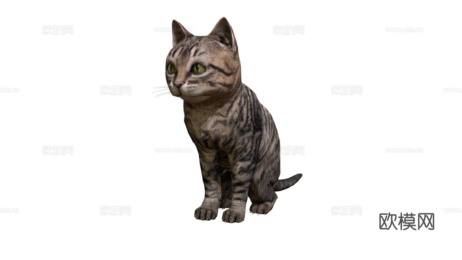 小虎猫3d模型