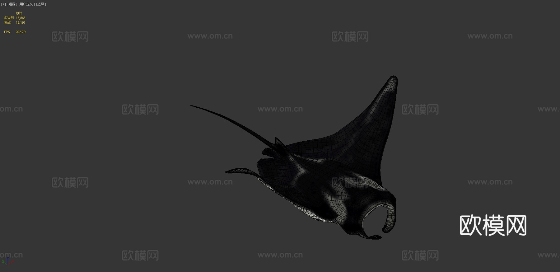 蝠鲼3d模型