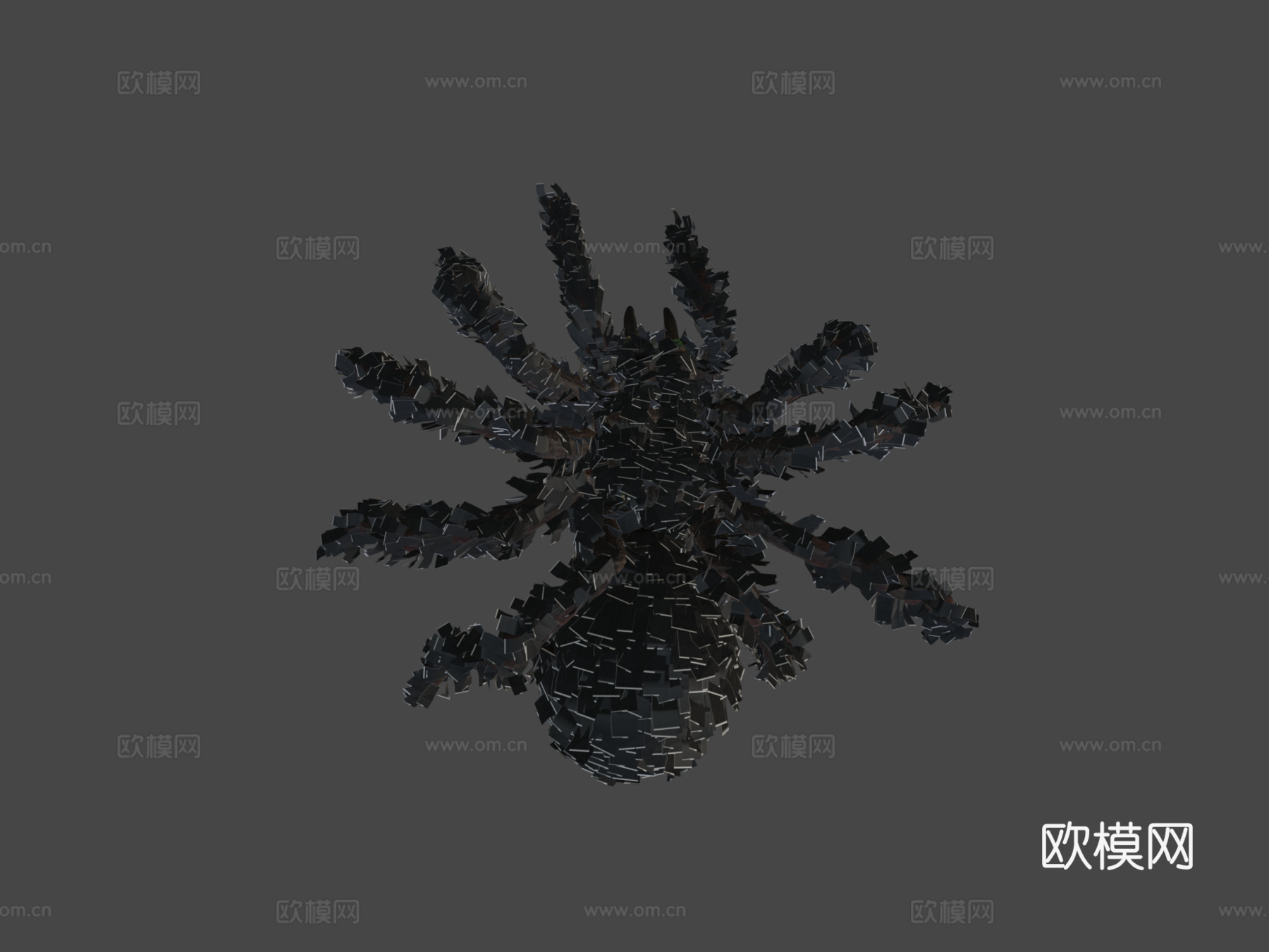 蜘蛛-狼蛛含动画3d模型