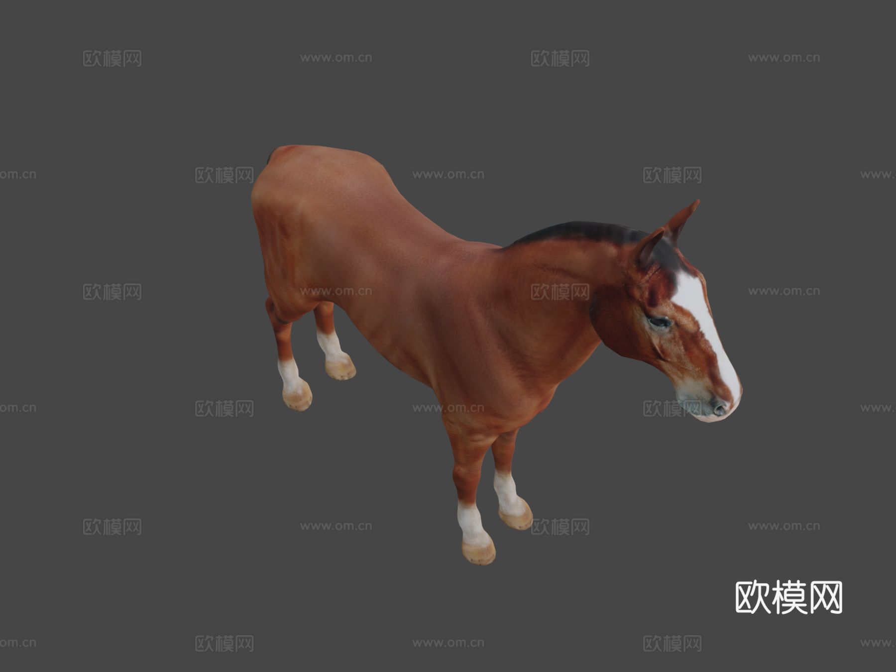 马基础网格3d模型