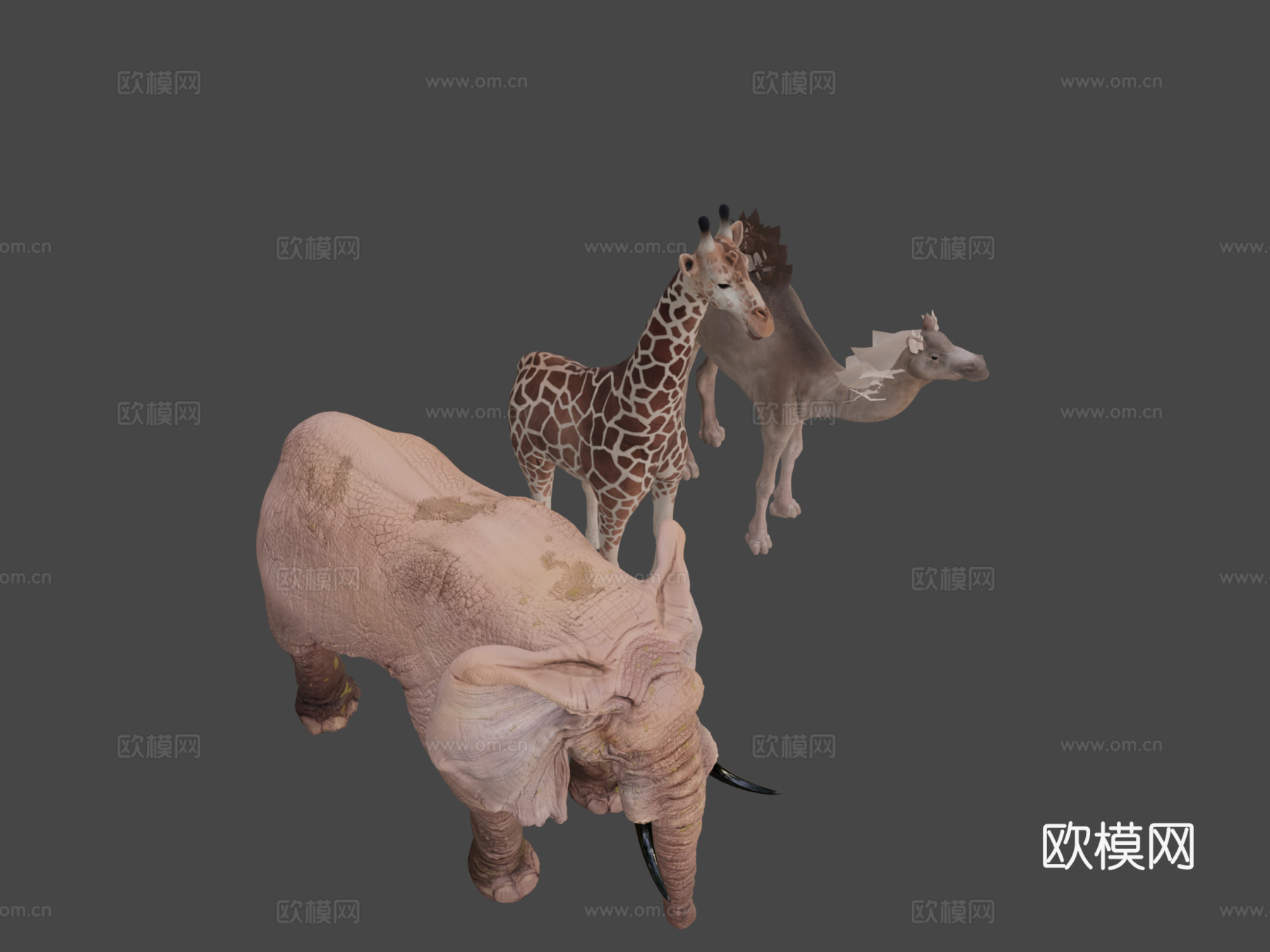 动物包13d模型