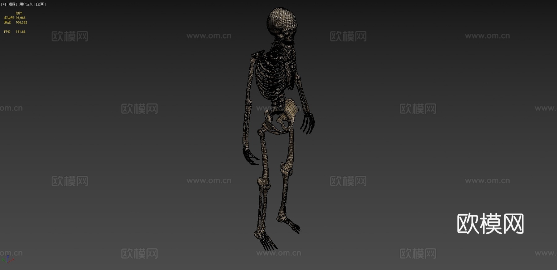 剥皮骨骼3d模型
