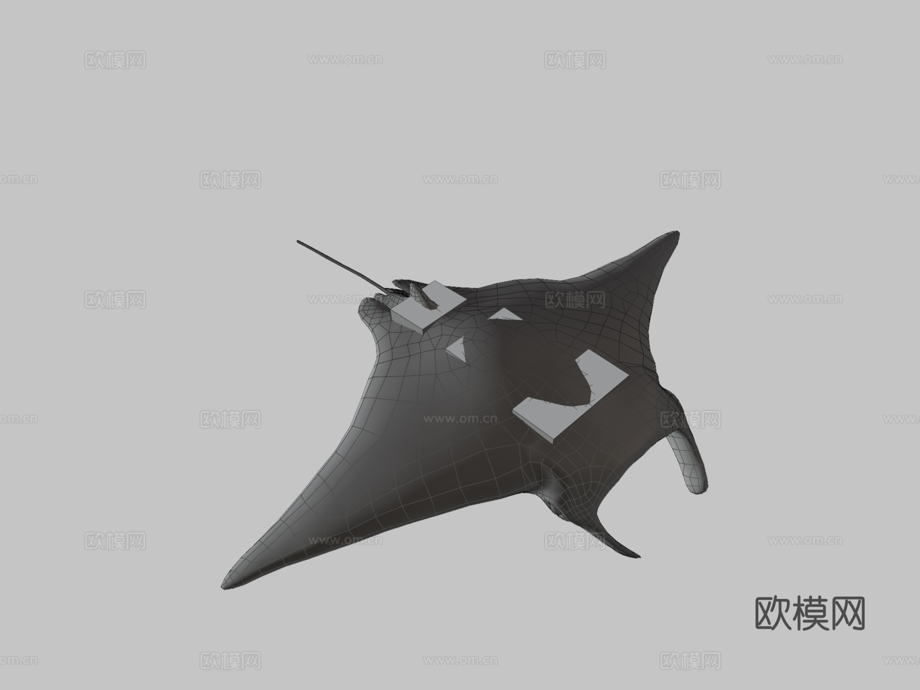 蝠鲼3d模型