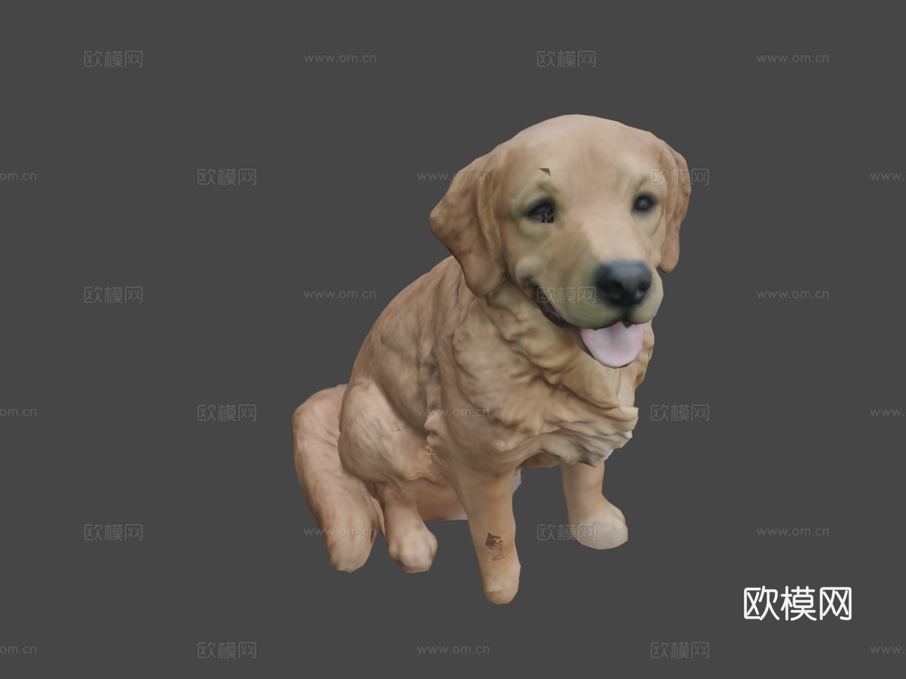 金毛寻回犬3d模型