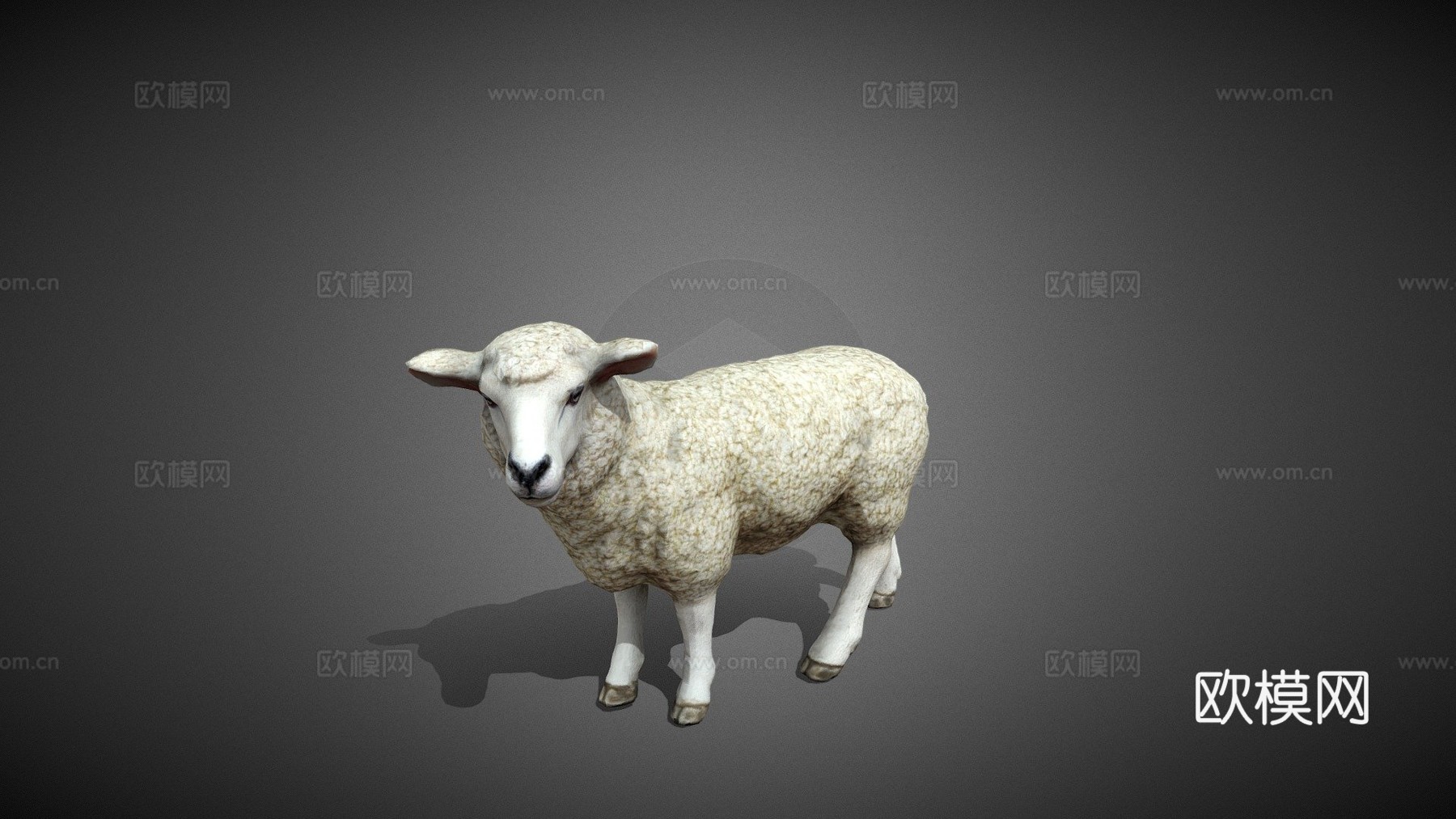 羊3d模型