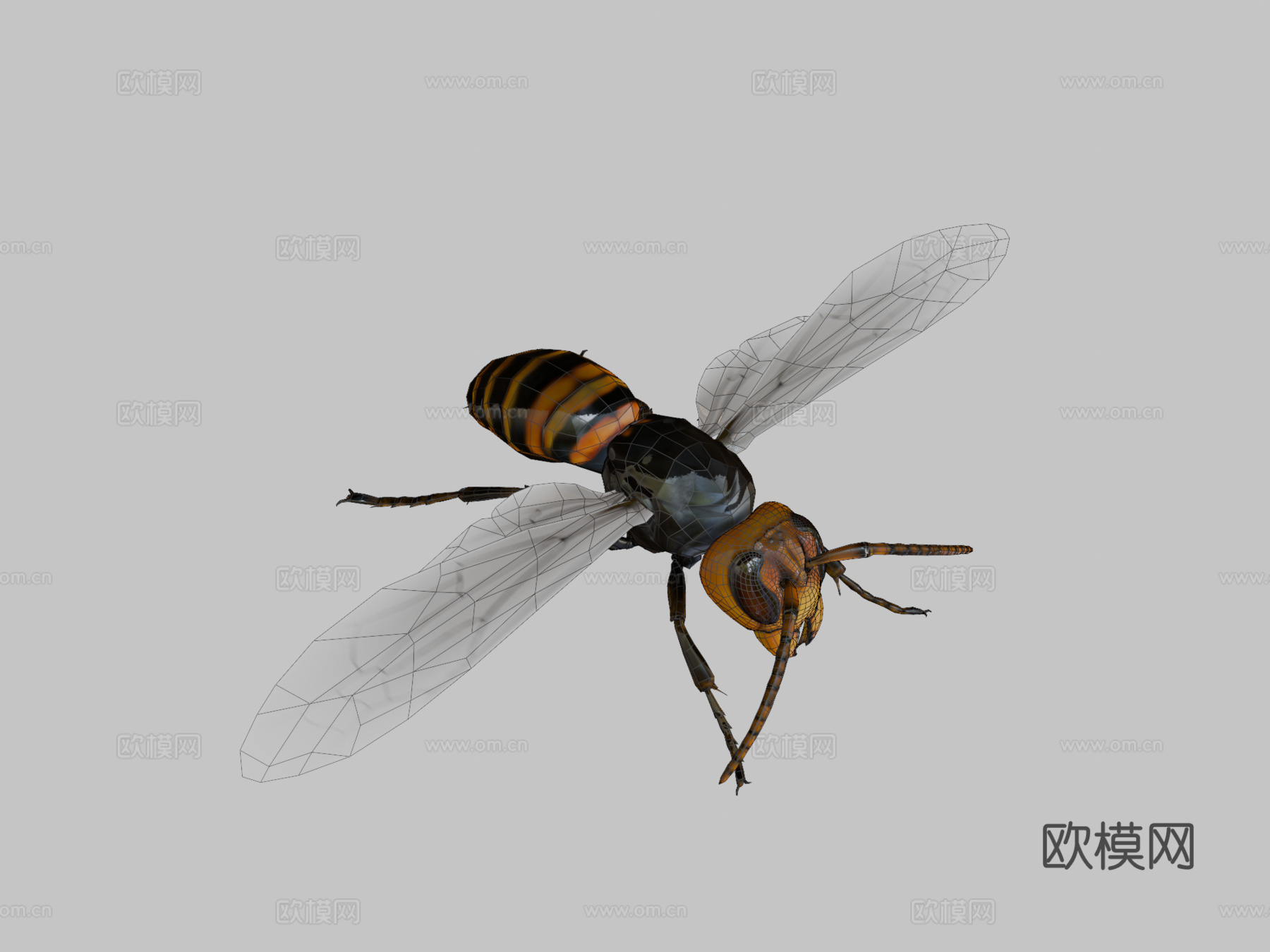 悬浮黄蜂3d模型