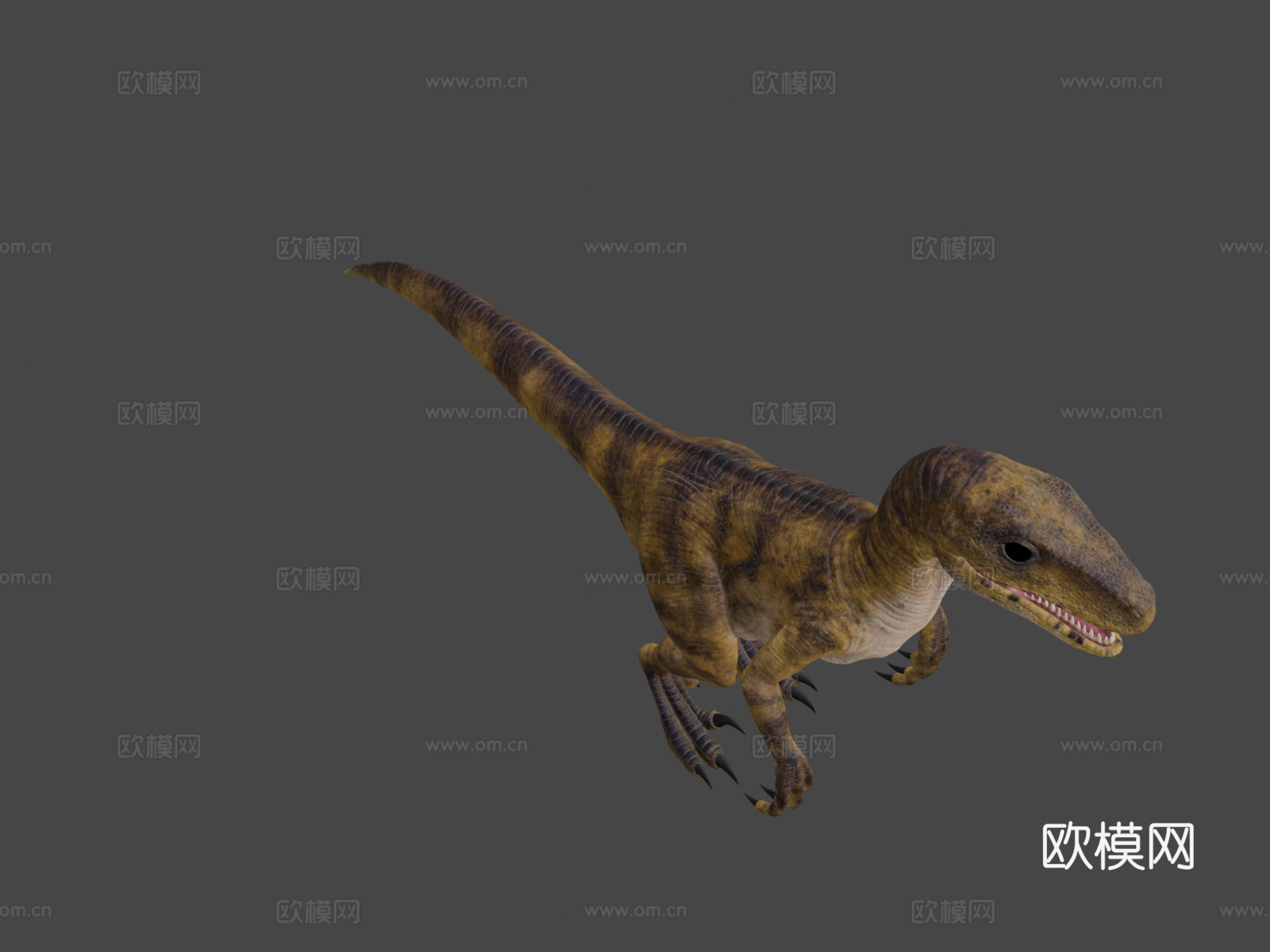 迅猛龙3d模型