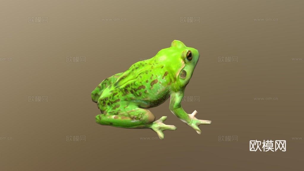 青蛙3d模型