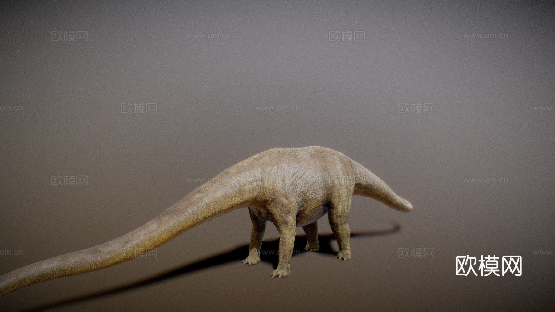 马门溪龙3d模型