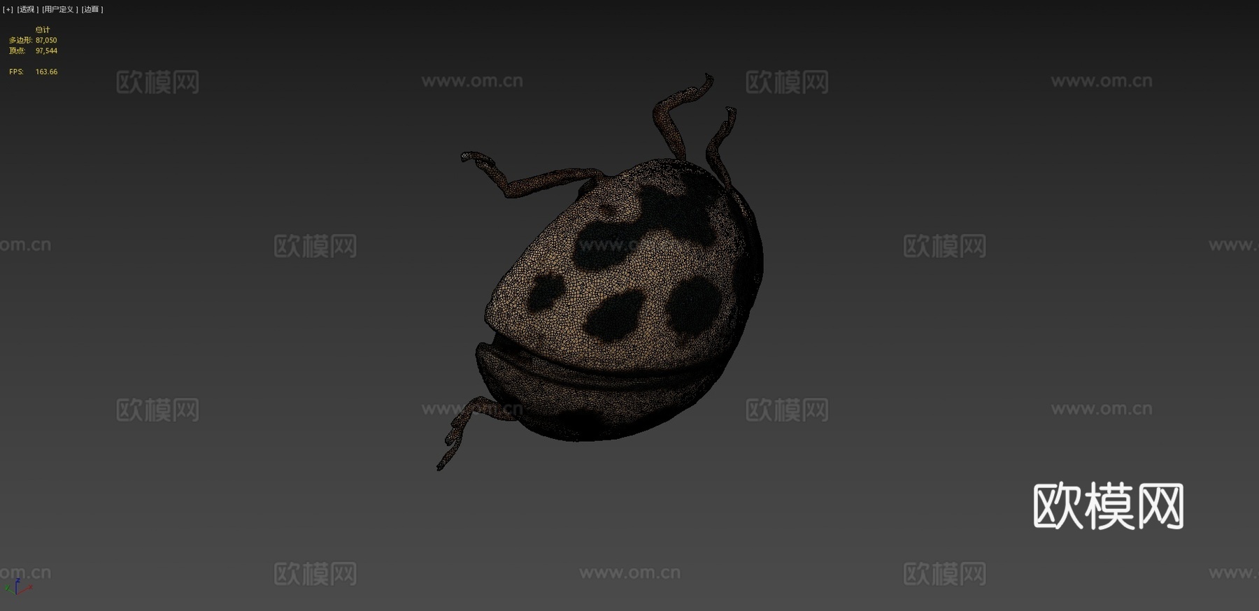 十六点瓢虫(自然历史数字档案)3d模型
