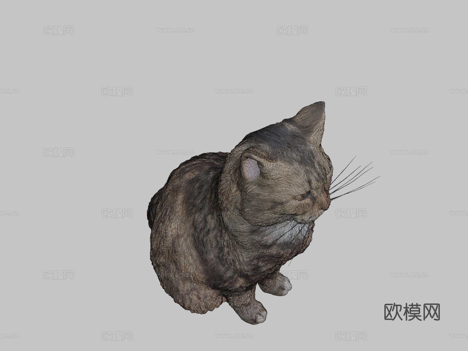 蓬松猫153d模型