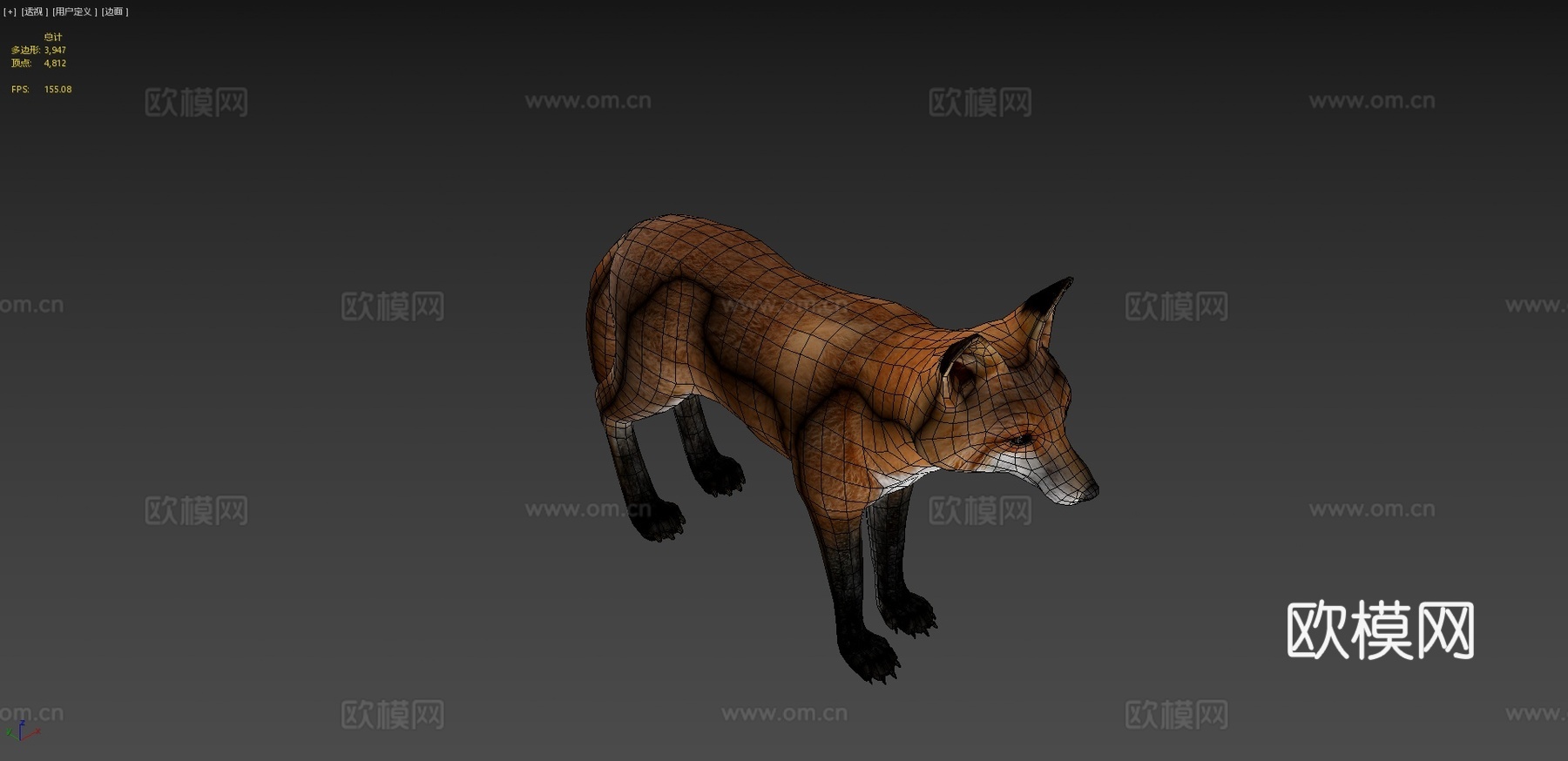雄性狐狸3d模型