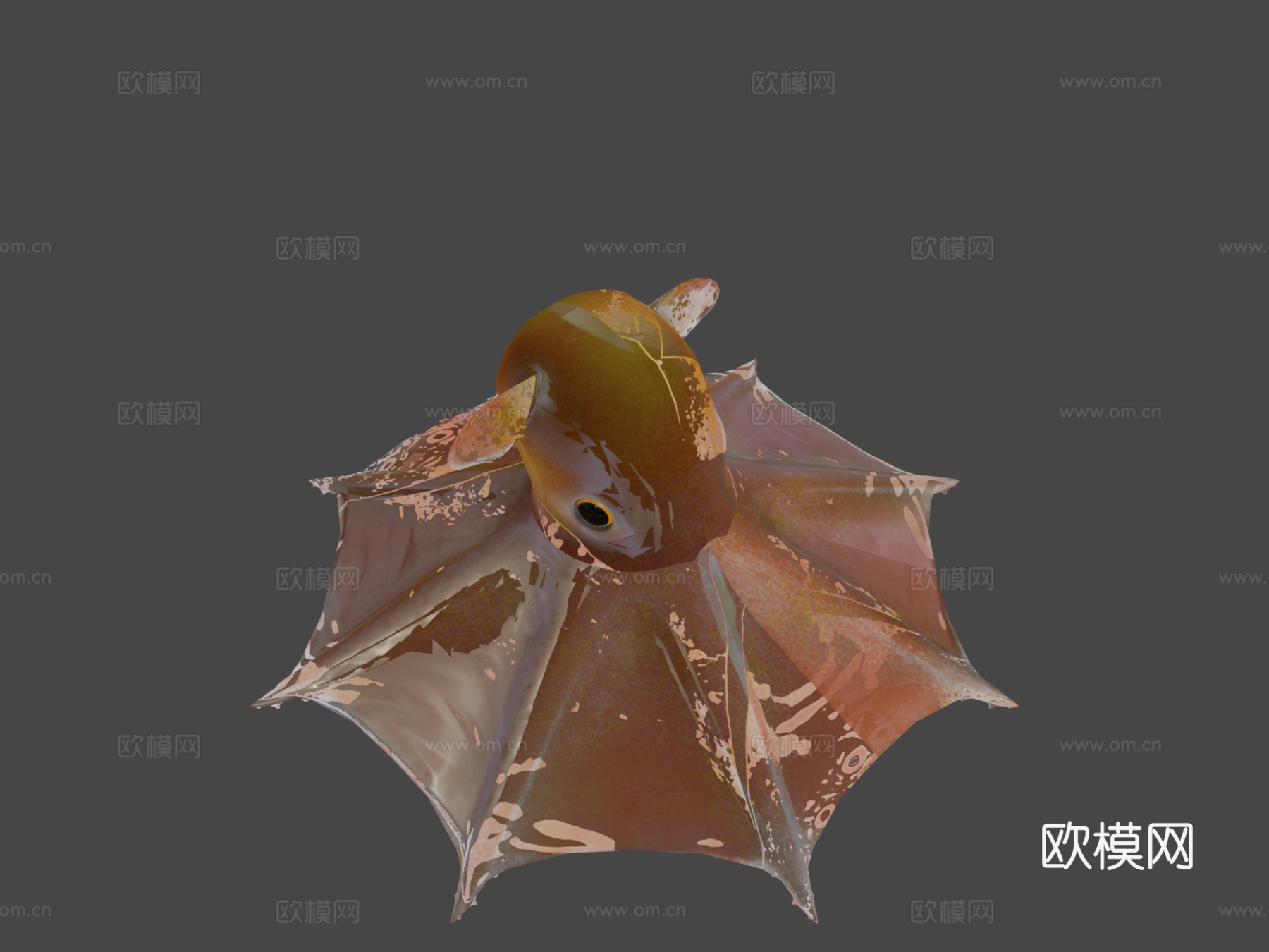 小飞象章鱼3d模型