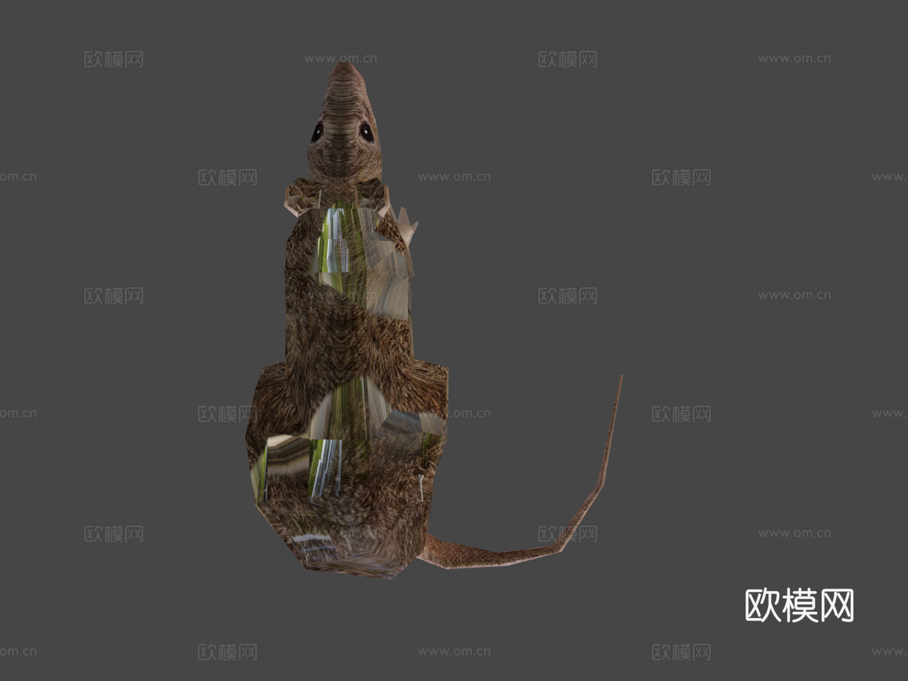 水平旋转鼠3d模型