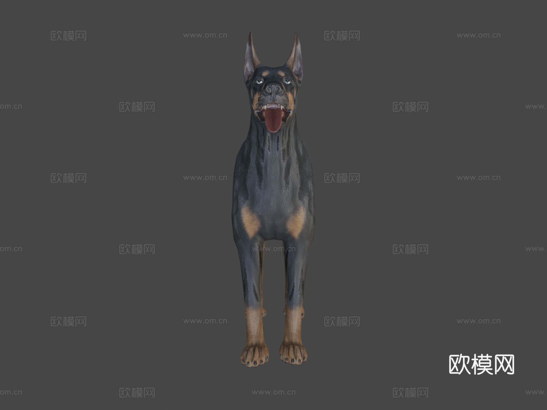狗-杜宾犬3d模型