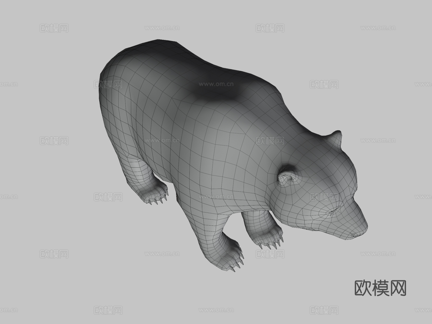 雄性熊3d模型