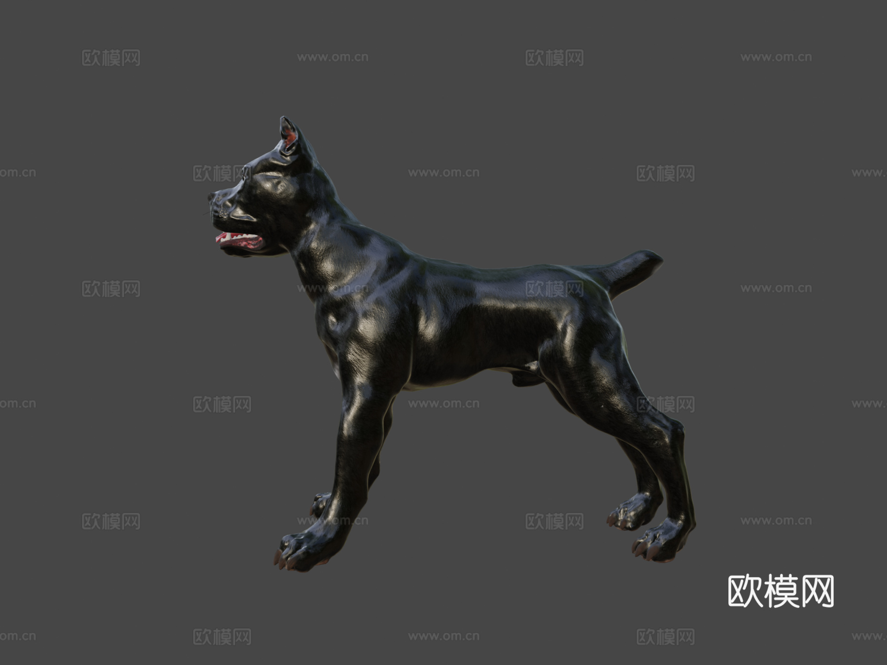 凯恩柯索V3版-几何优化3d模型