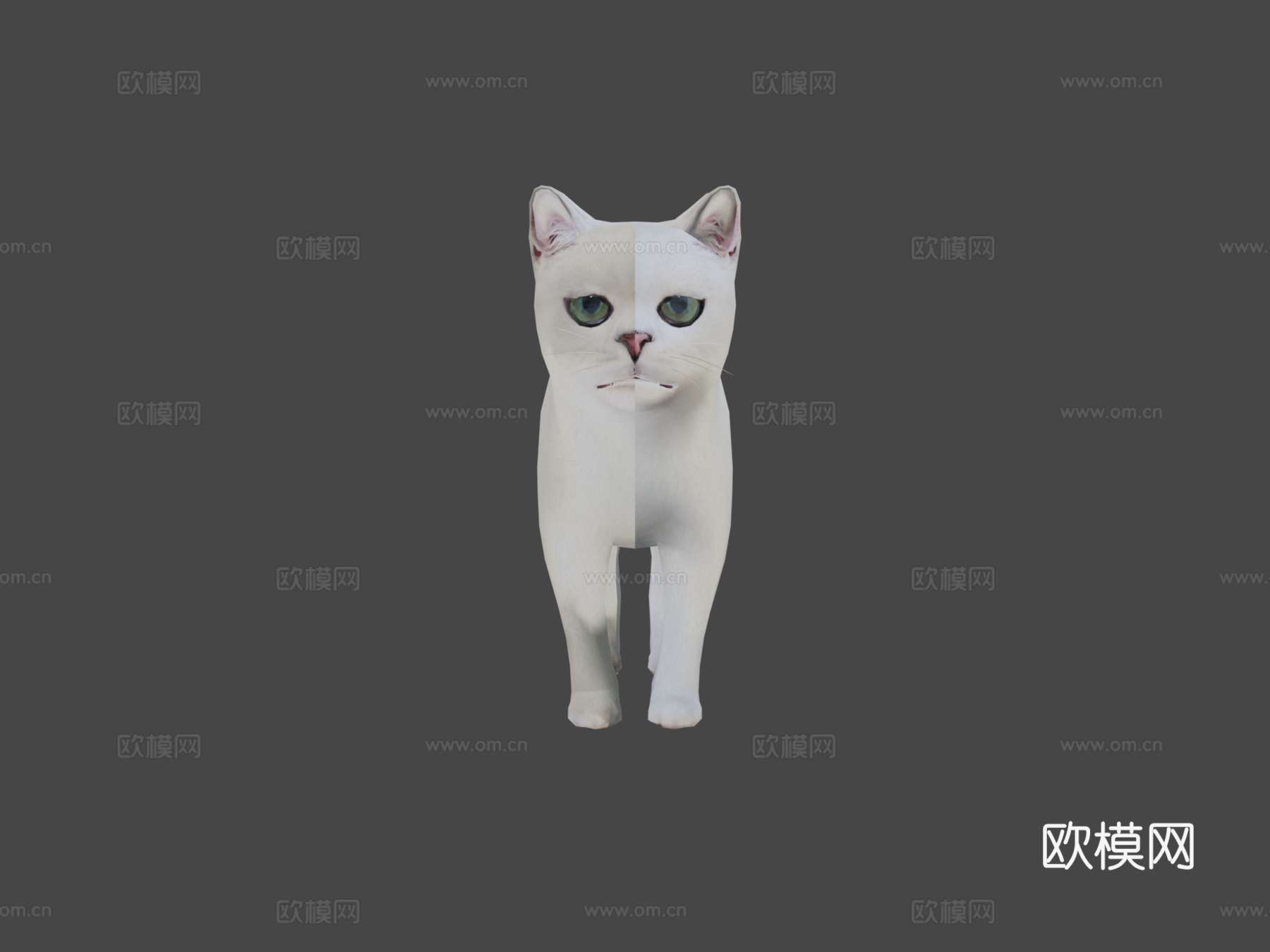 DRT-白猫3d模型