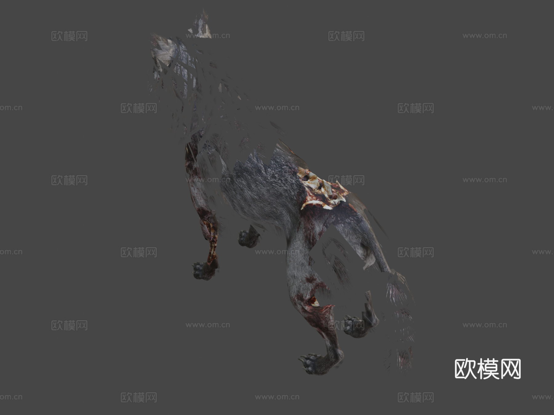 使命召唤-幽灵的地狱犬3d模型