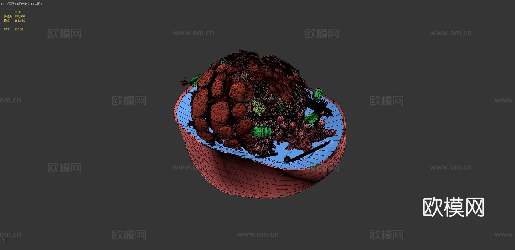 动物细胞3d模型