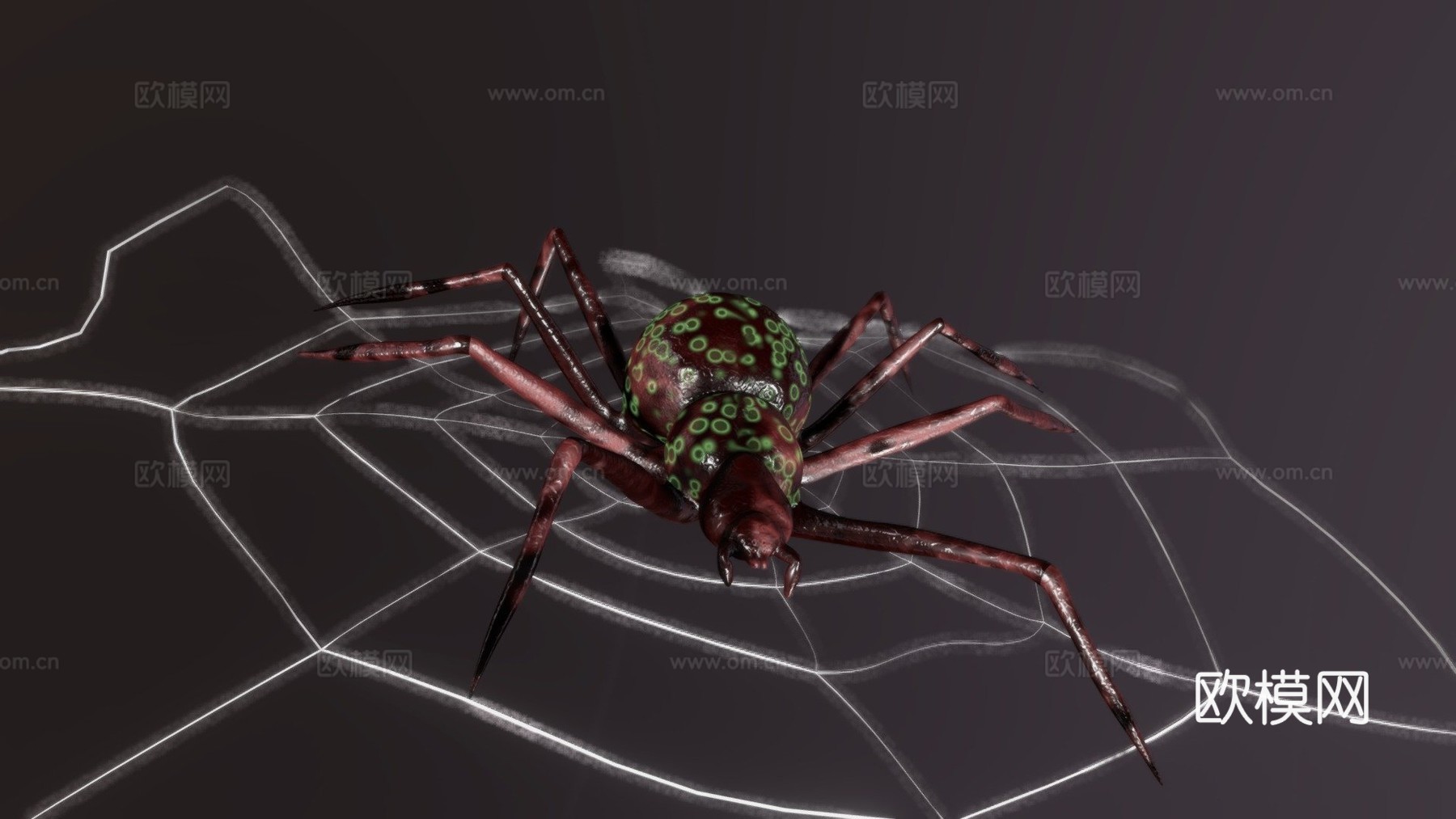 蜘蛛3d模型