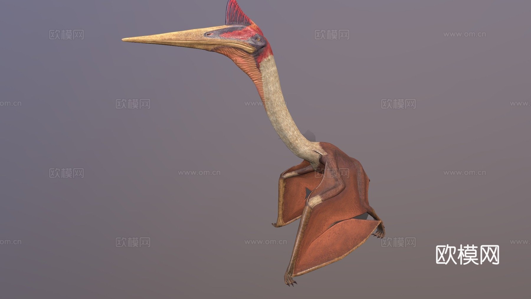 风神翼龙3d模型