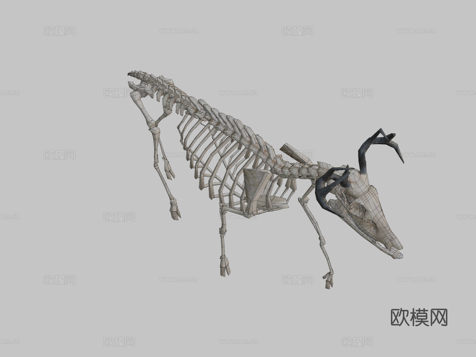 低多边形鹿骨架3d模型
