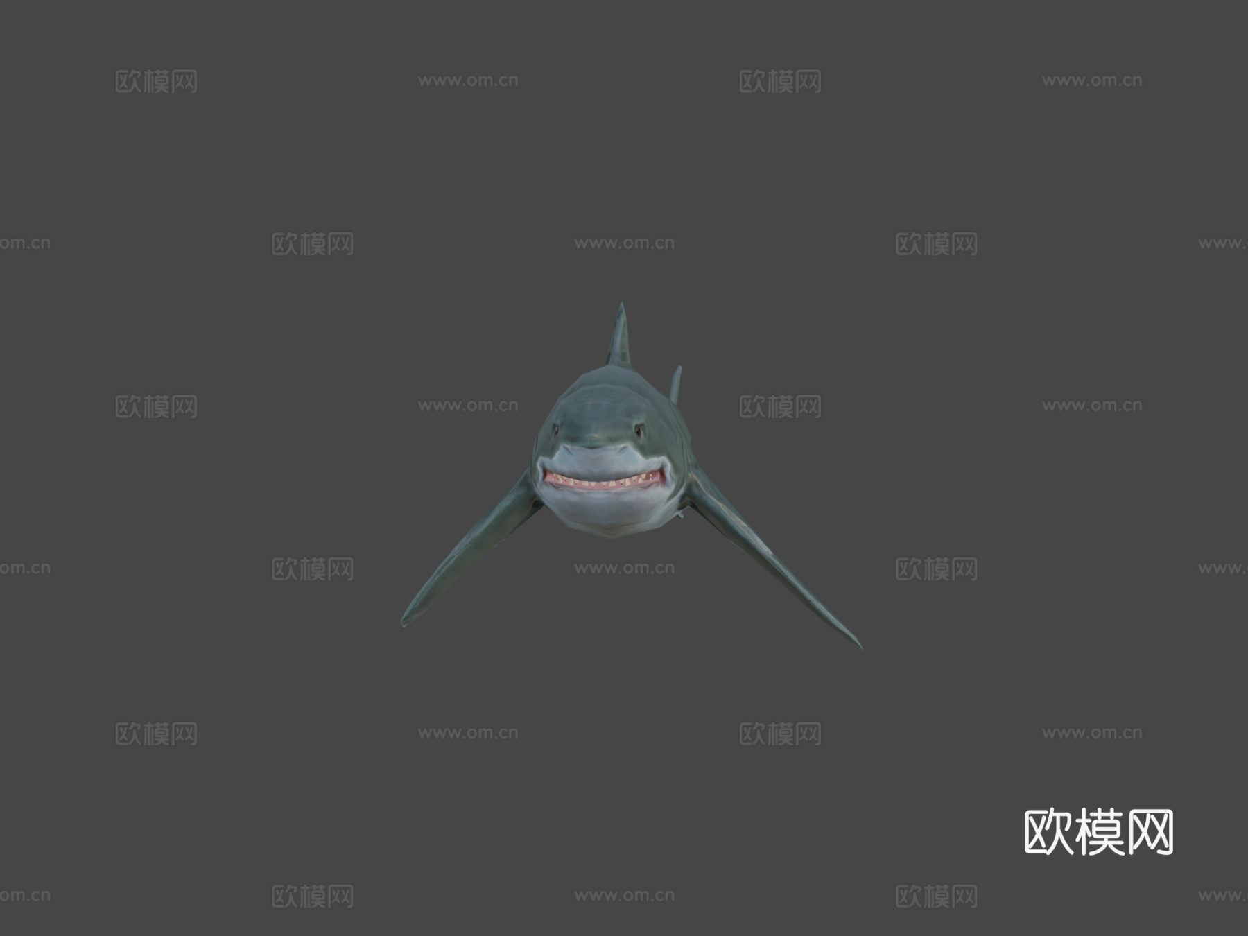 大白鲨(马特乌斯·施瓦布)_23d模型