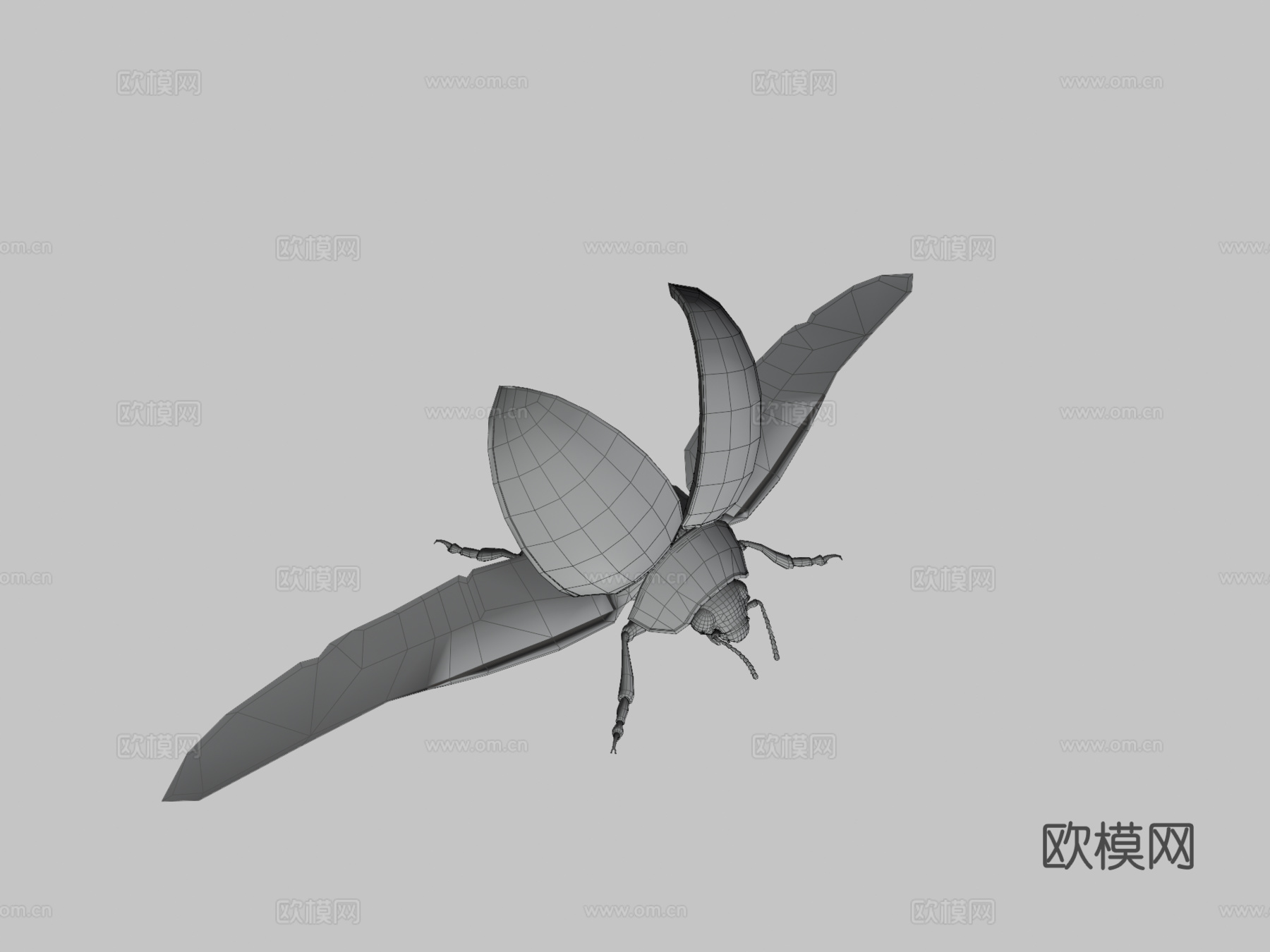 动画瓢虫3d模型