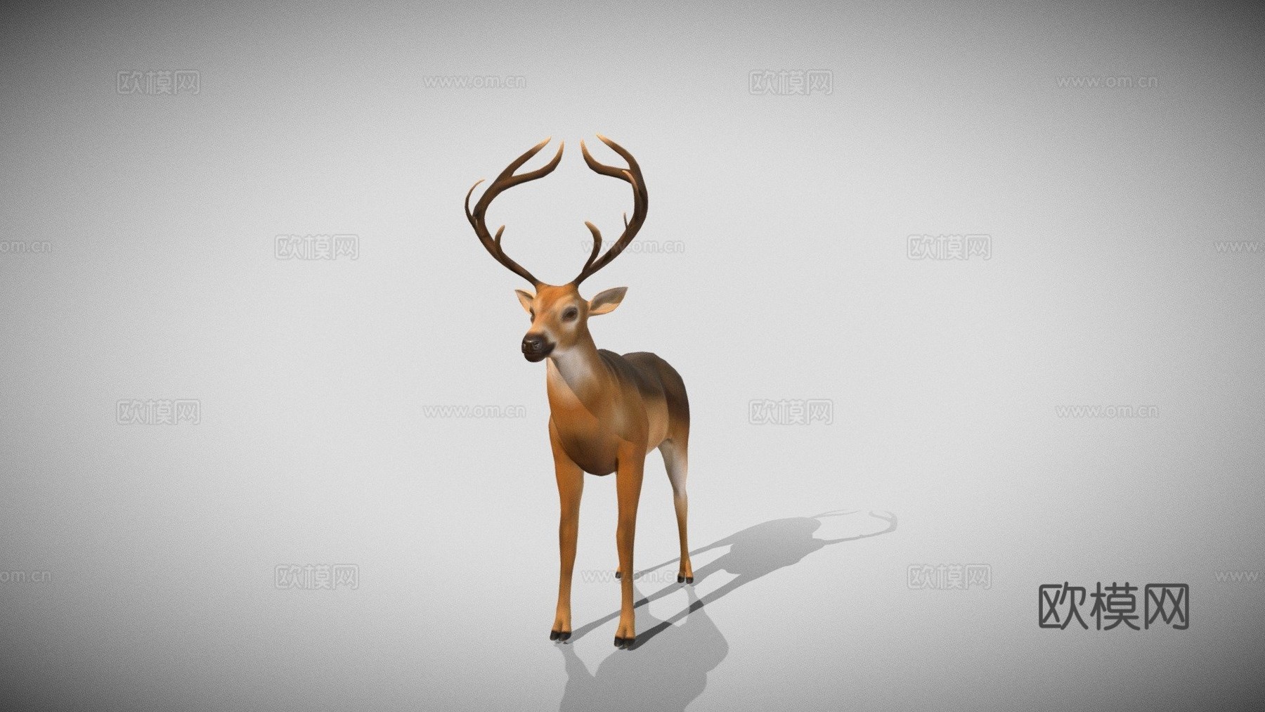 鹿全身3d模型