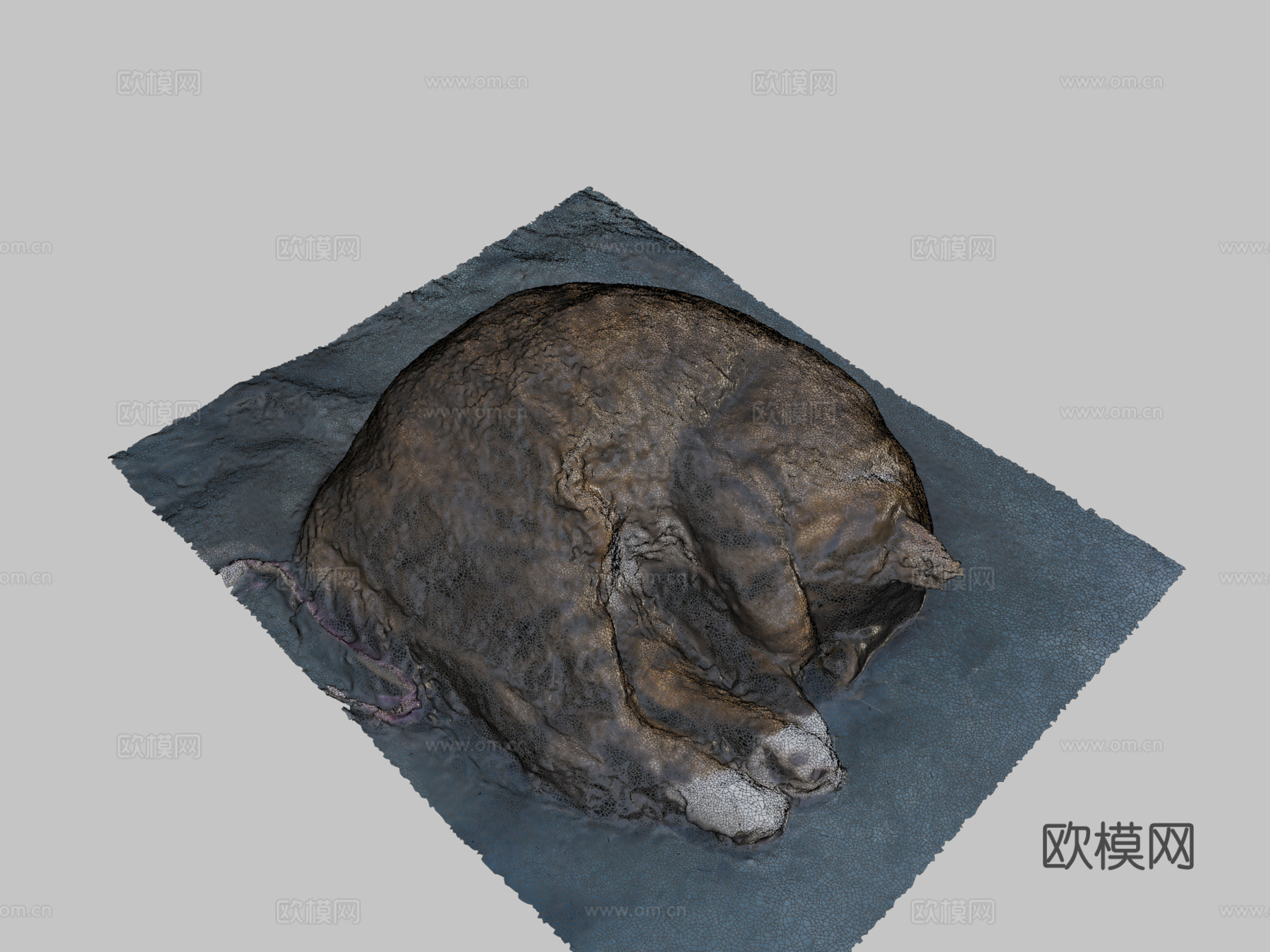 我的另一只猫3d模型
