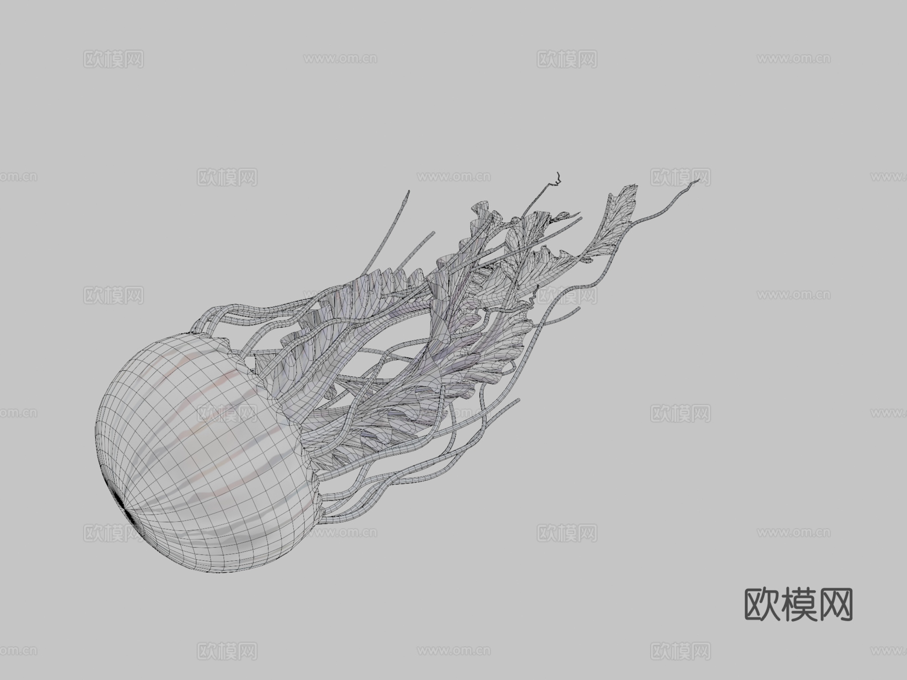 水母_0013d模型