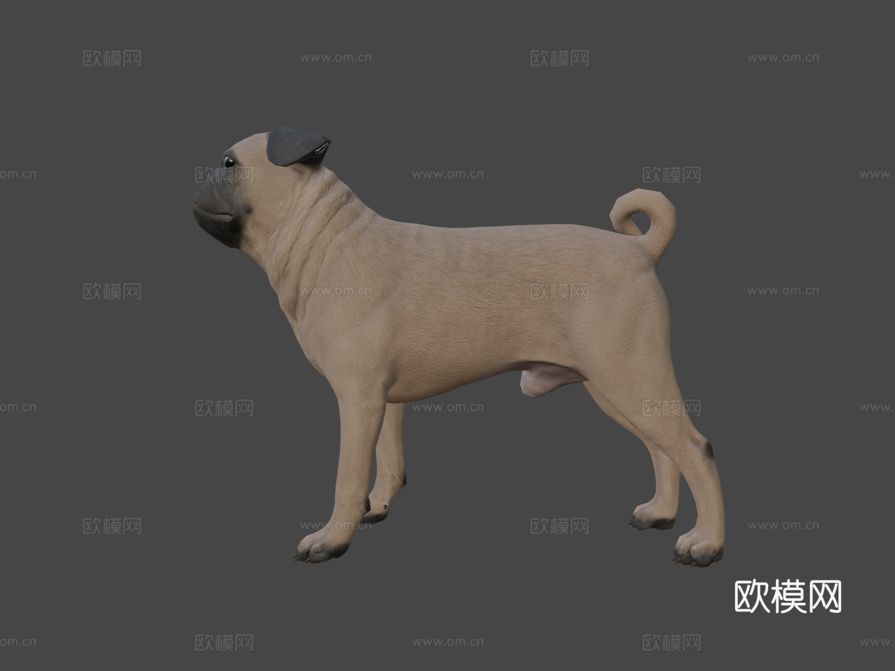 哈巴狗3d模型
