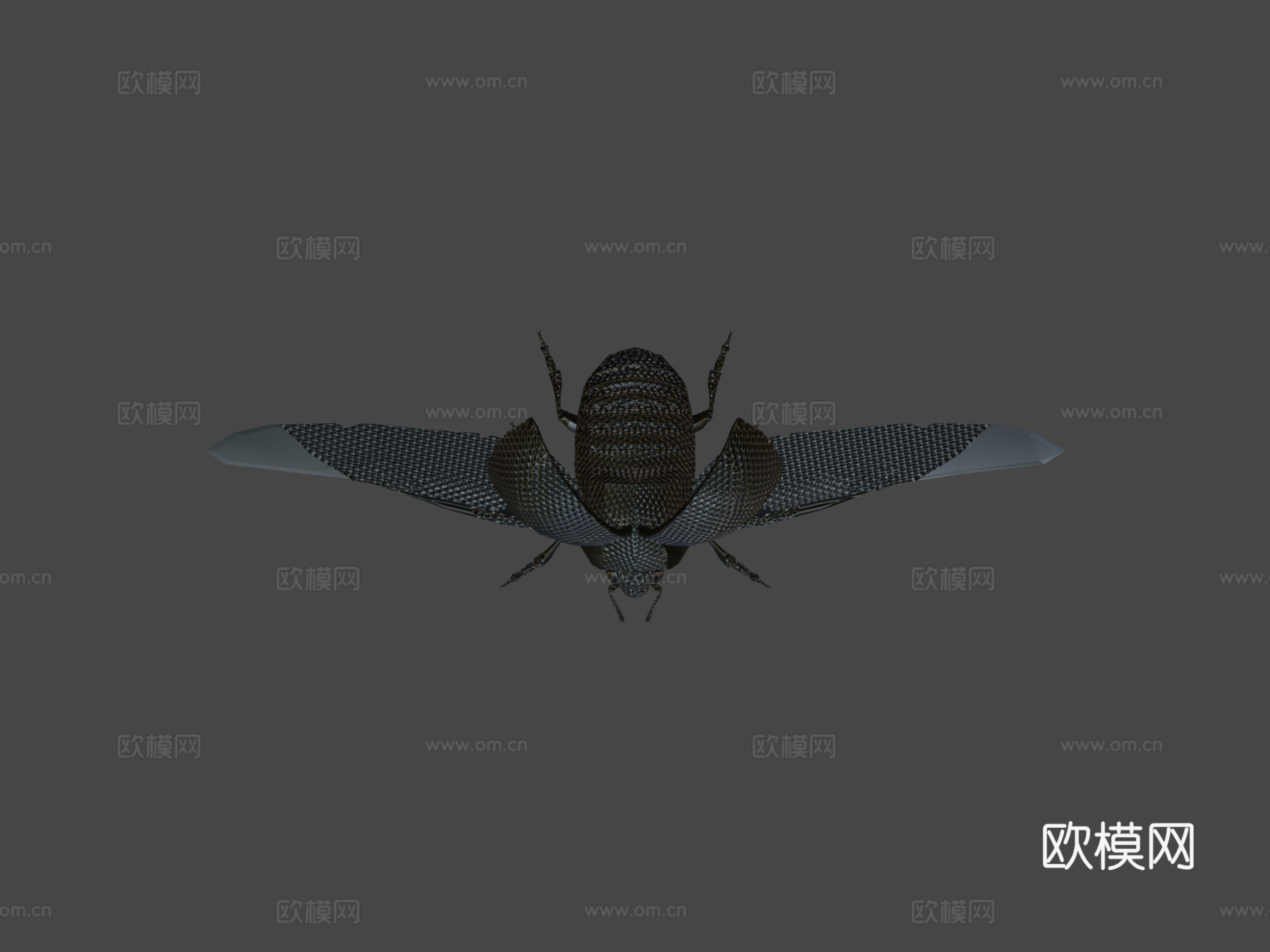 动画瓢虫3d模型