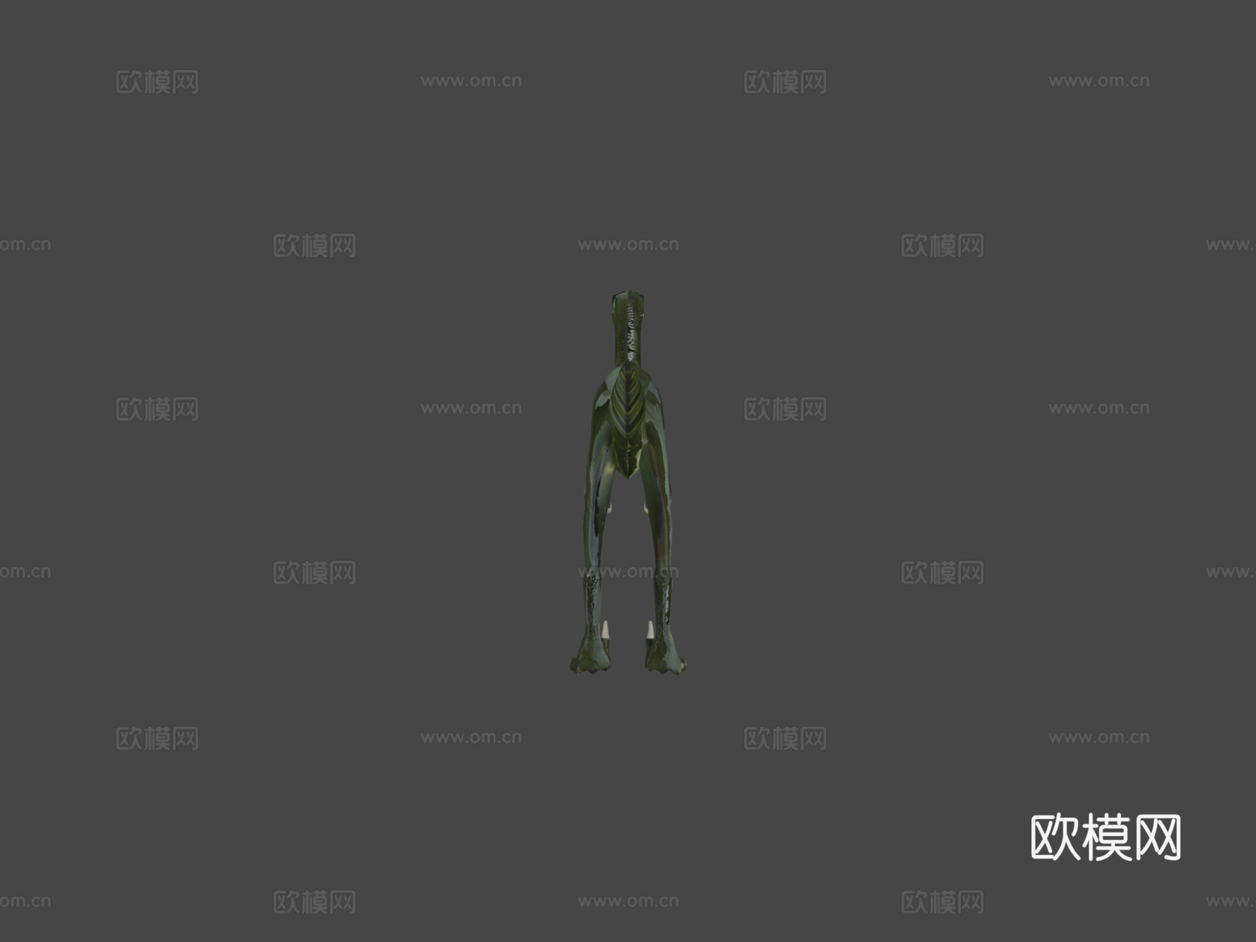 恐龙3d模型