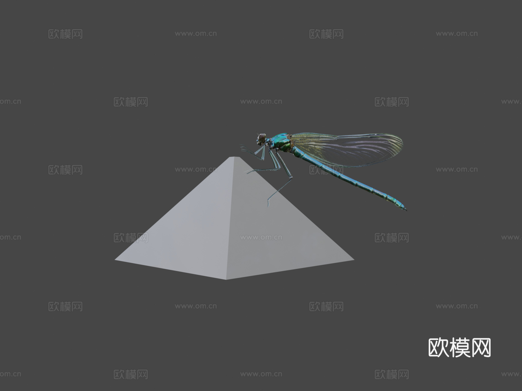 蜻蜓3d模型